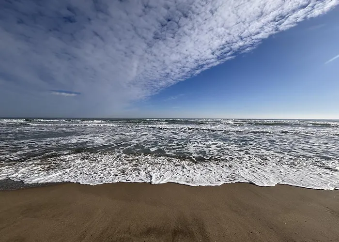 Studio Calme Et Moderne A 300M De La Plage -1-